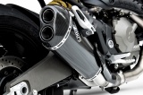 Výfuk Zard Ducati Monster 821 (14-) Carbon
